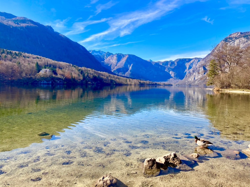 Bohinjsko Jezero
