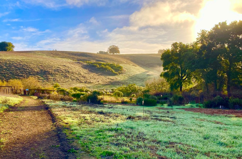 San Francisco Bay&nbsp;Area