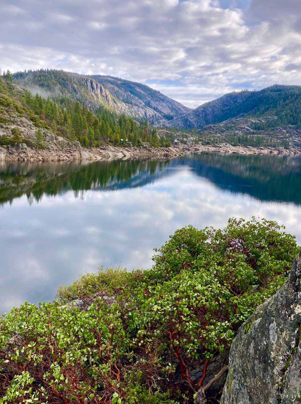 Pinecrest California