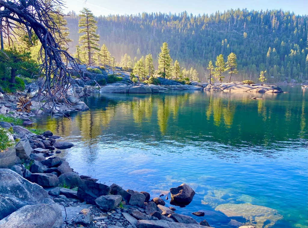 More Pinecrest time