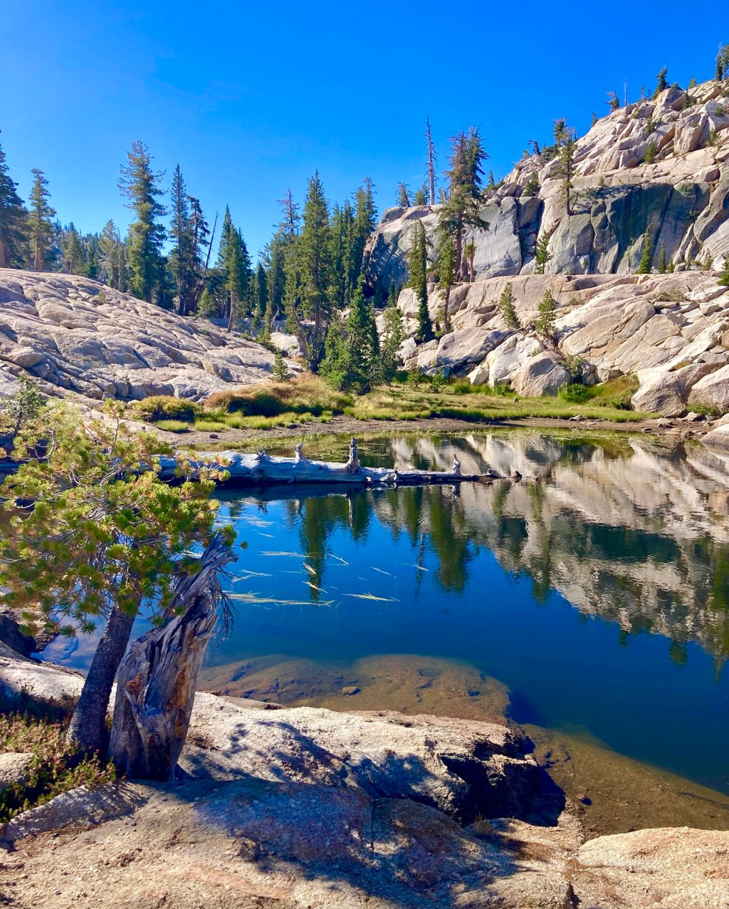 Painting in the&nbsp;wilderness